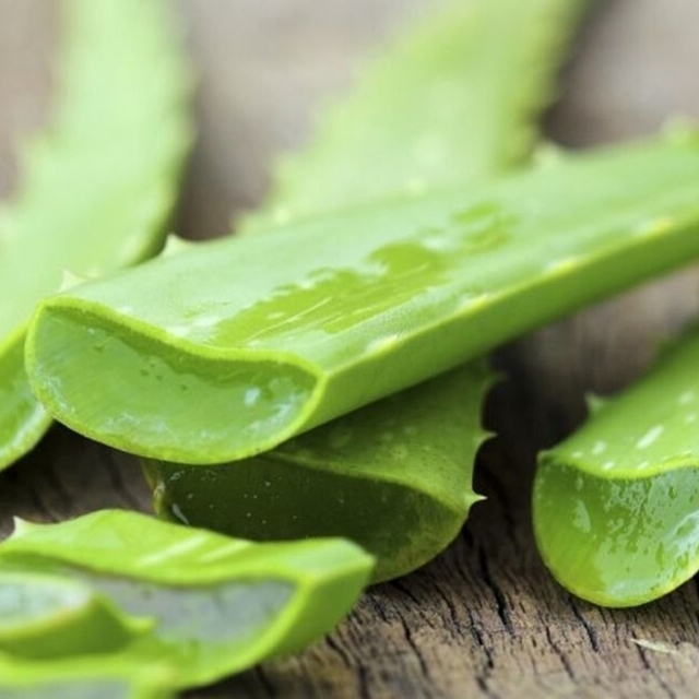 Receita para Espinha aloe vera