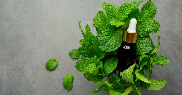 Óleo Essencial para Alergia: Como Evitar Esse Desconforto de Forma Natural